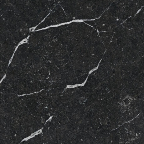 Glasierte Feinsteinzeugfliesen für den Boden, 60 x 120, schwarz mit goldenen Adern, glänzend, rektifiziert, A4H109 Pierre Black #15