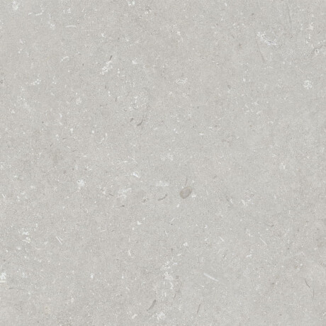 Feinsteinzeug für den Boden, 60 x 120 cm, hellgrau, matt, A4H1093 Shellstone Bianco #2