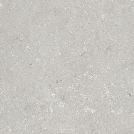 Feinsteinzeug für den Boden, 60 x 120 cm, hellgrau, matt, A4H1093 Shellstone Bianco #3