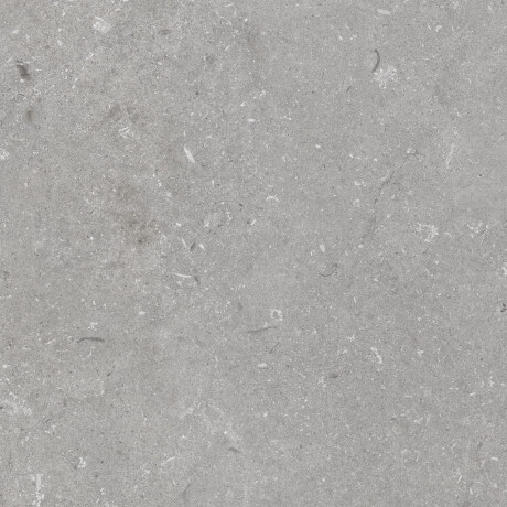 Feinsteinzeug für den Boden, 60 x 120 cm, grau matt, A4H1096 Shellstone Grigio #4