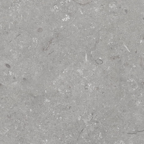 Feinsteinzeug für den Boden, 60 x 120 cm, grau matt, A4H1096 Shellstone Grigio #8