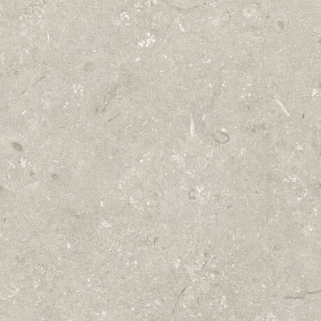 Bodenfliesen 60 x 120 cm, beige, matt, A4H1099 Shellstone Beige #7