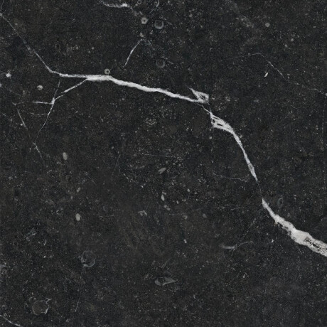 Glasierte Feinsteinzeugfliesen für den Boden, 60 x 120, mit goldfarbener Ader, matt, rektifiziert, A4H110 Pierre Black #19