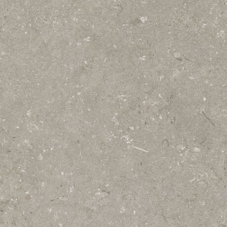 Feinsteinzeug für den Boden, 60 x 120 cm, taupe, matt, A4H1102 Shellstone Taupe #4