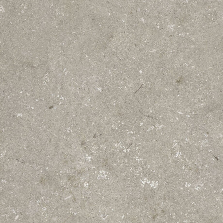 Feinsteinzeug für den Boden, 60 x 120 cm, taupe, matt, A4H1102 Shellstone Taupe #8