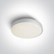 RAFTI AN Deckenleuchte 24 W 3000 K IP65 Anthrazit #1