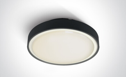 RAFTI E Deckenleuchte 12 W  IP65 anthrazit