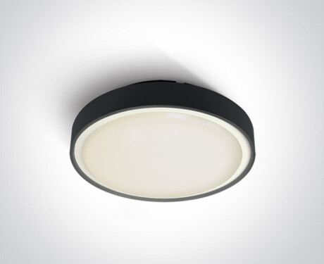 RAFTI E Deckenleuchte 12 W  IP65 anthrazit