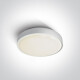 RAFTI E Deckenleuchte 12 W, IP65, grau #1