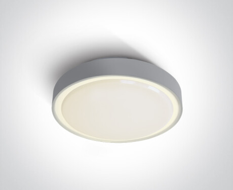 RAFTI N Deckenleuchte 16 W, 3000 K, IP65, Anthrazit