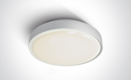 RAFTI N Deckenleuchte 16 W, 3000 K, IP65, grau