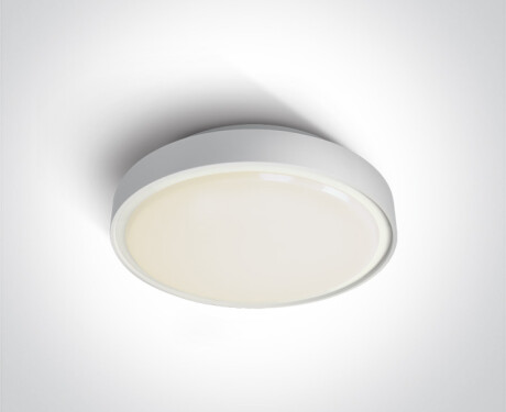 RAFTI N Deckenleuchte 16 W, 3000 K, IP65, grau