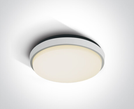 FASIDERI Deckenleuchte 20 W, 3000 K, IP54, Anthrazit